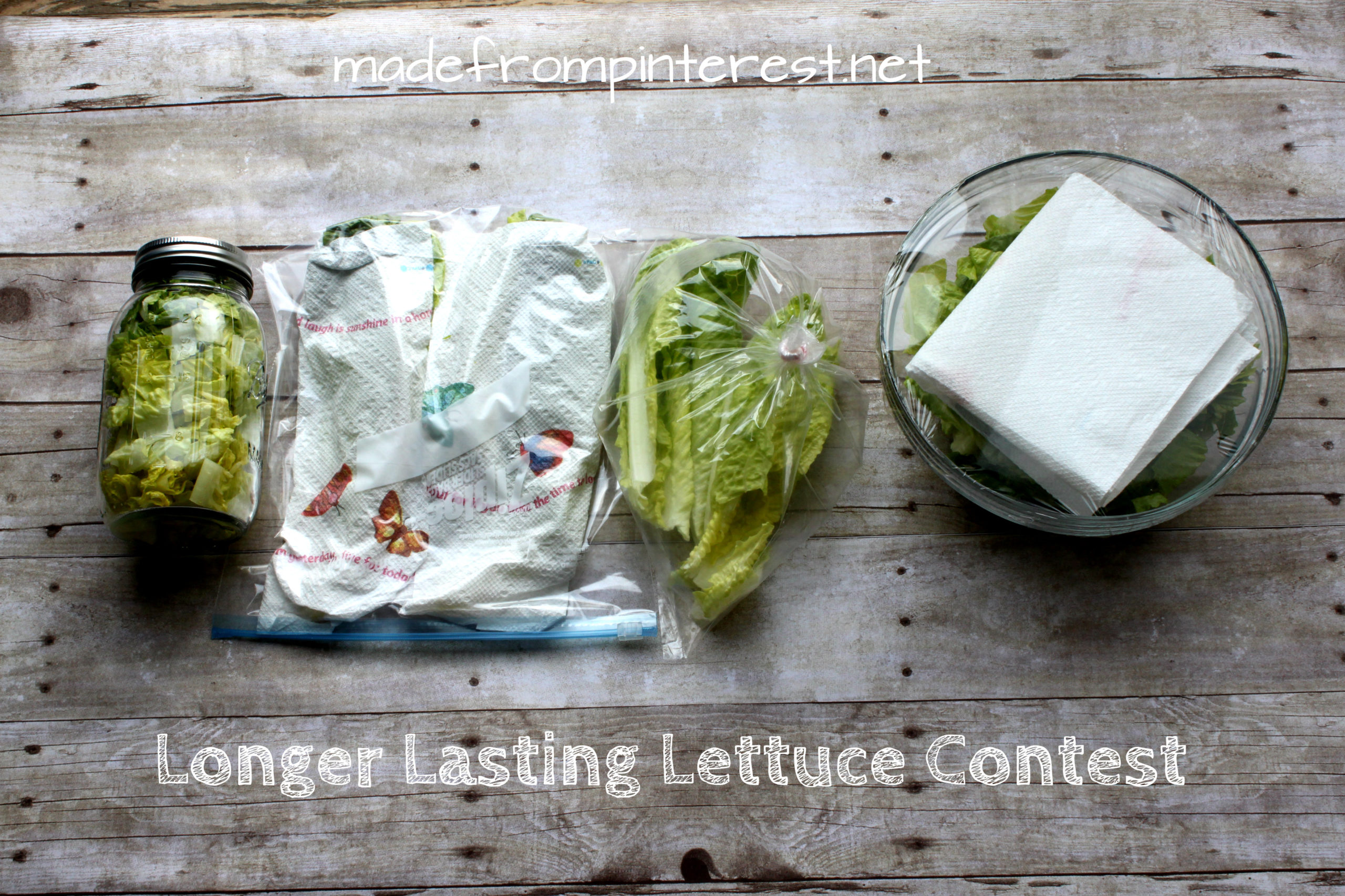 Longer Lasting Lettuce Contest - TGIF - This Grandma is Fun