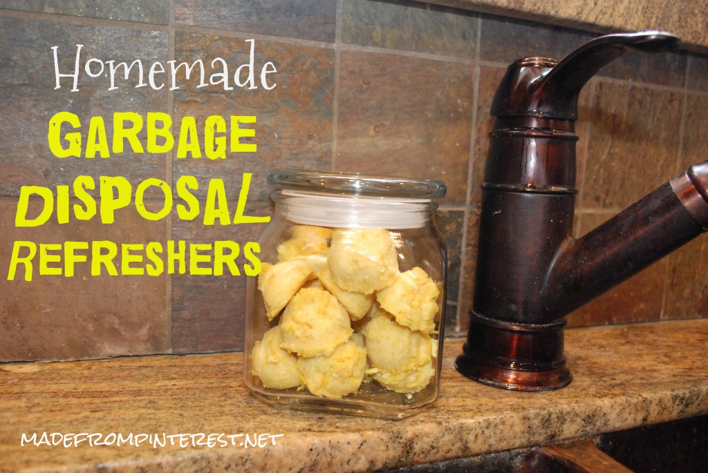 Garbage Disposal Refreshers