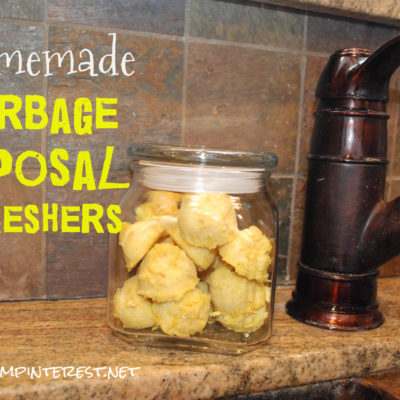 Homemade Garbage Disposal Refreshers