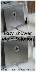This is THE solution for shower mold in impossible to reach places. I didn't even have to scrub!
