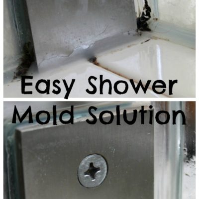 Easy Shower Mold Solution
