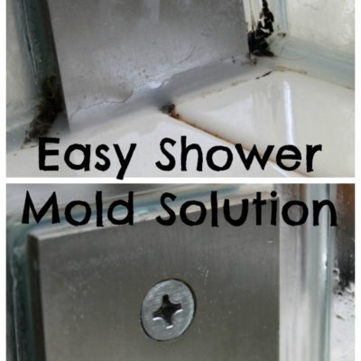 Easy Shower Mold Solution