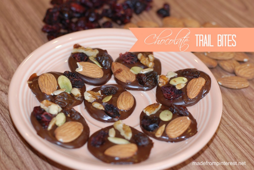 Healthier Chocolate Trail Bites | madefrompinterest.net