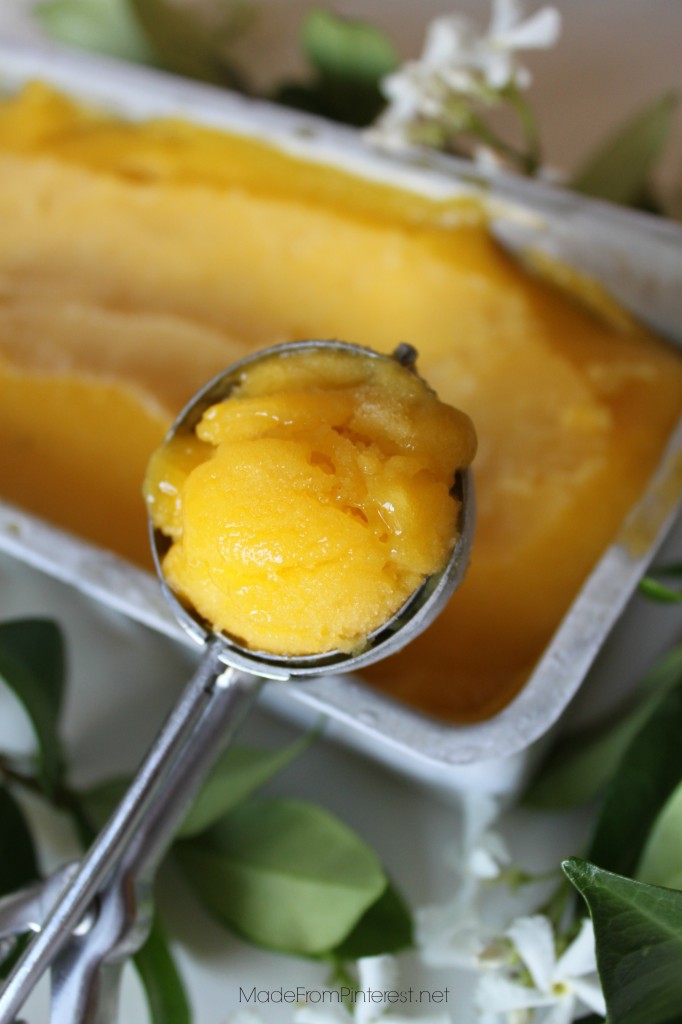 Mango Sorbet Recipe. MadeFromPinterest.net