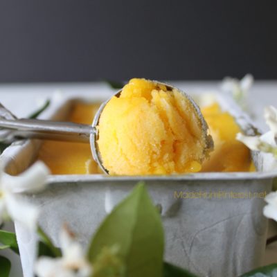 Mango Sorbet Recipe