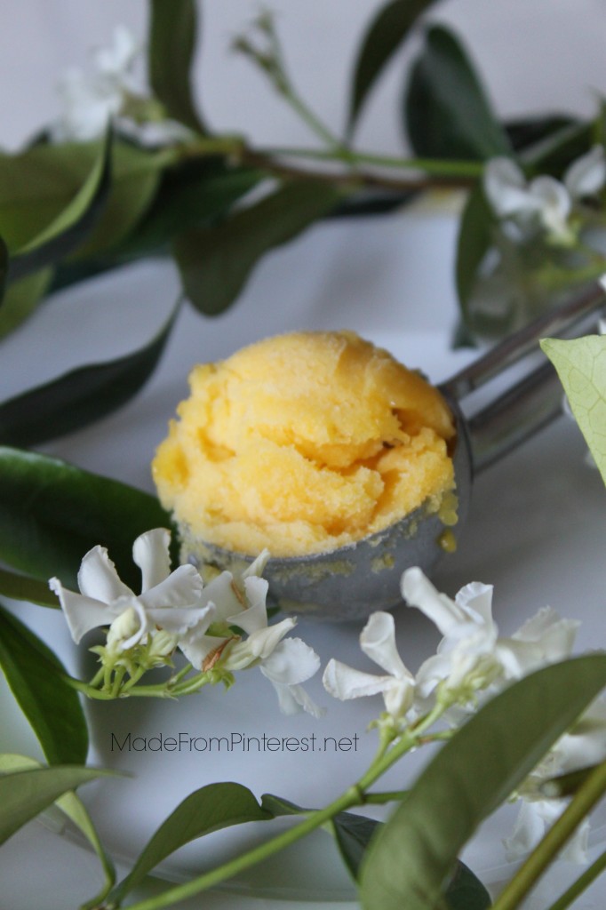 Mango Sorbet from MadeFromPinterest.net