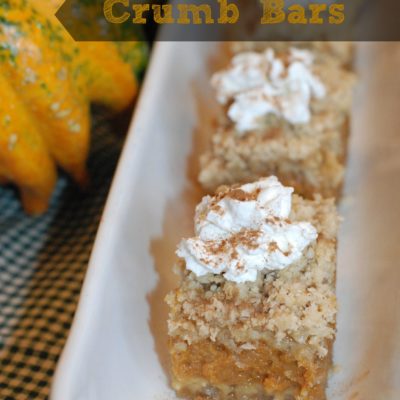 Pumpkin Pie Crumb Bars