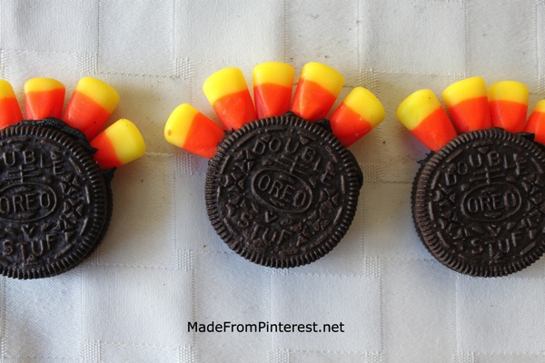 Oreo Turkeys feathers