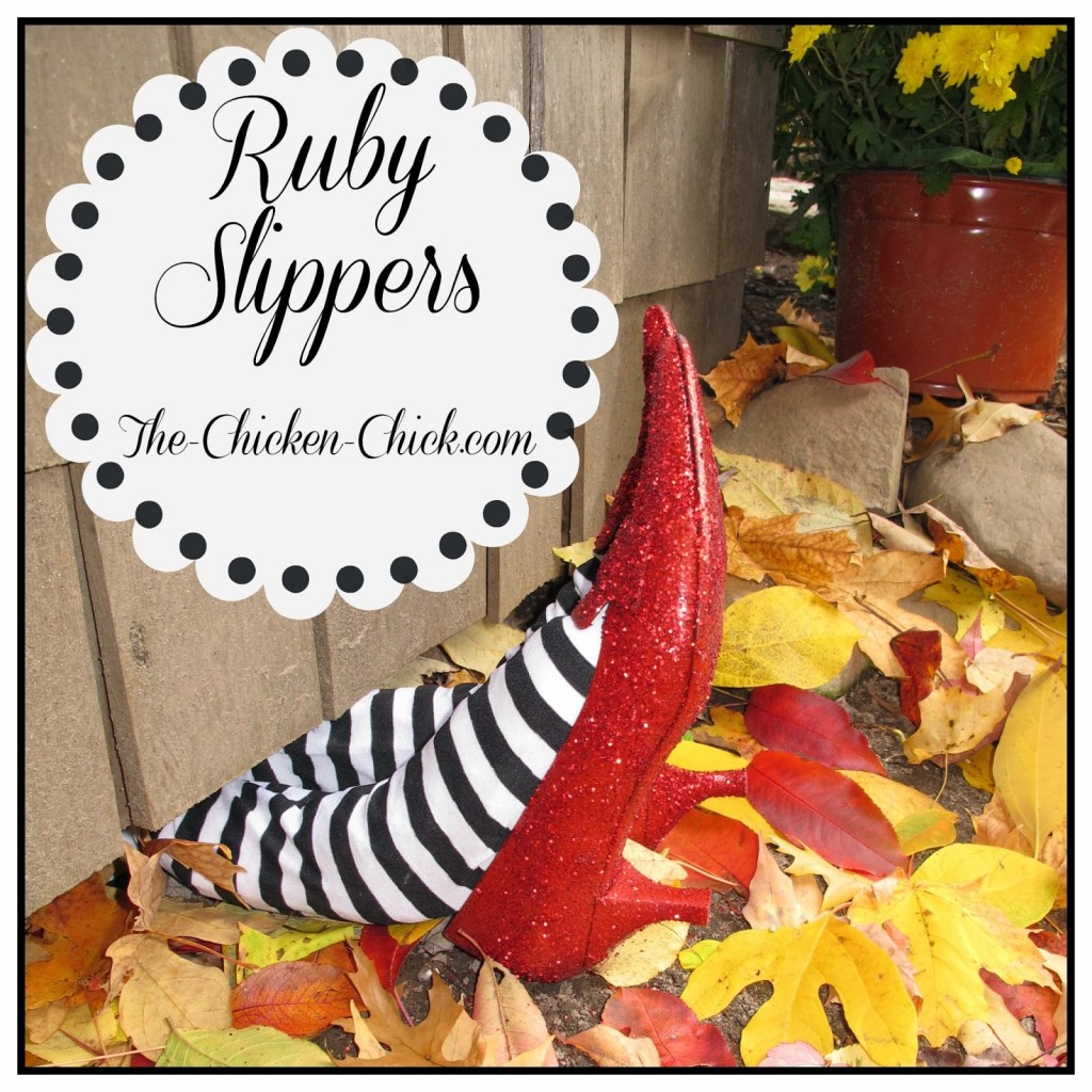 Ruby Slippers2