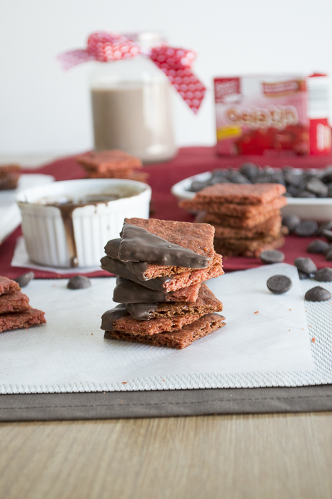 Chocolate-Dipped-Strawberry-Graham-Crackers-4 (1)