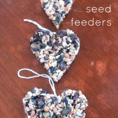 Hanging Bird Seed Feeders