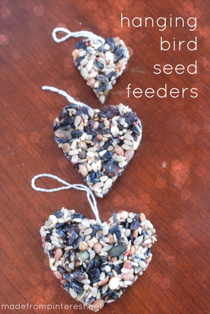 February is National Bird Feeding Month.  Make these easy DIY Hanging Bird Seed Feeders!