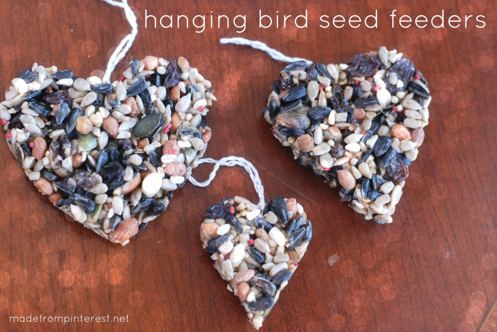 It's National Feed a Bird month!  Easy to make DIY Hanging Bird Seed Feeders that you can make with your kids!