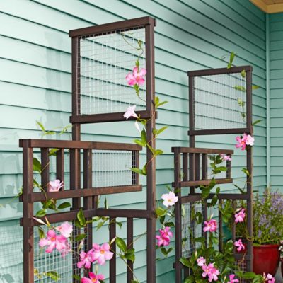 DIY Garden Trellis Projects