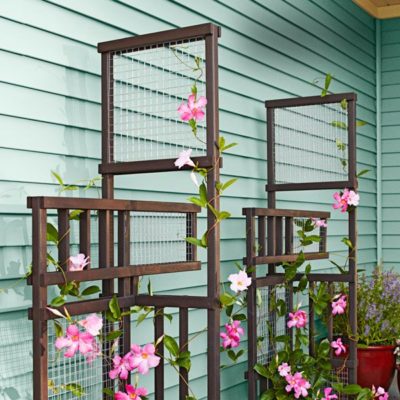 DIY Garden Trellis Projects