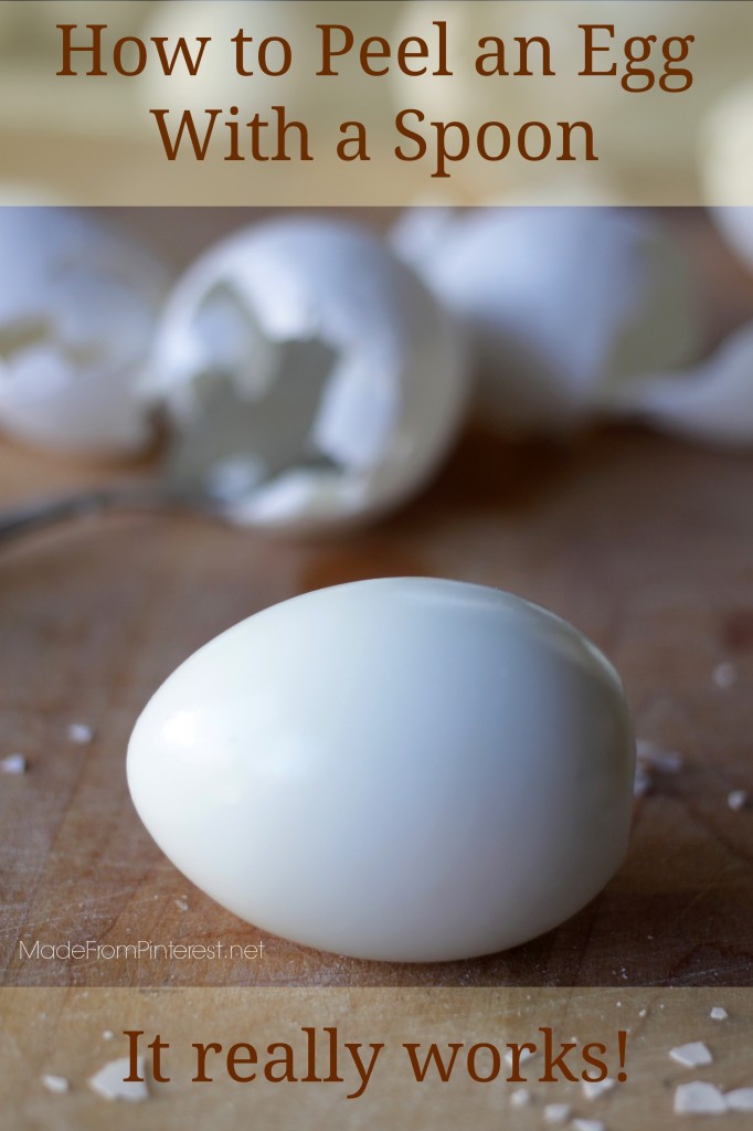 How to Peel an Egg With a Spoon - Easier, faster, less mess. The only way you will peel your egg ever again!
