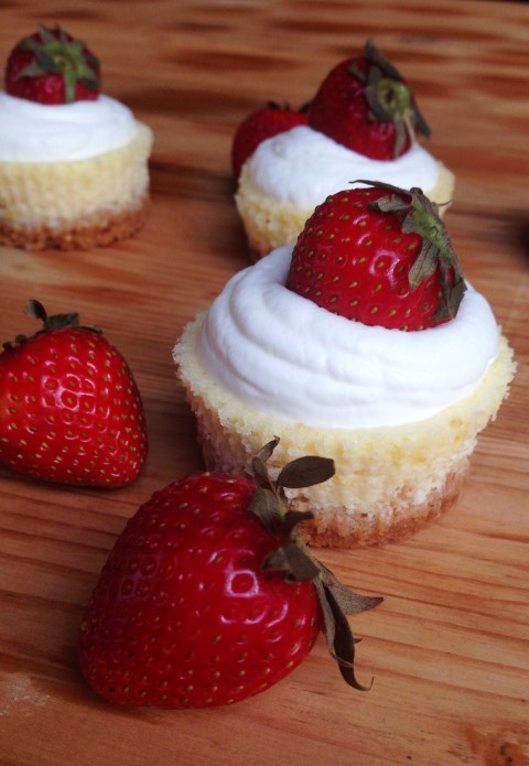 Mini-Ricotta-Cheescakes