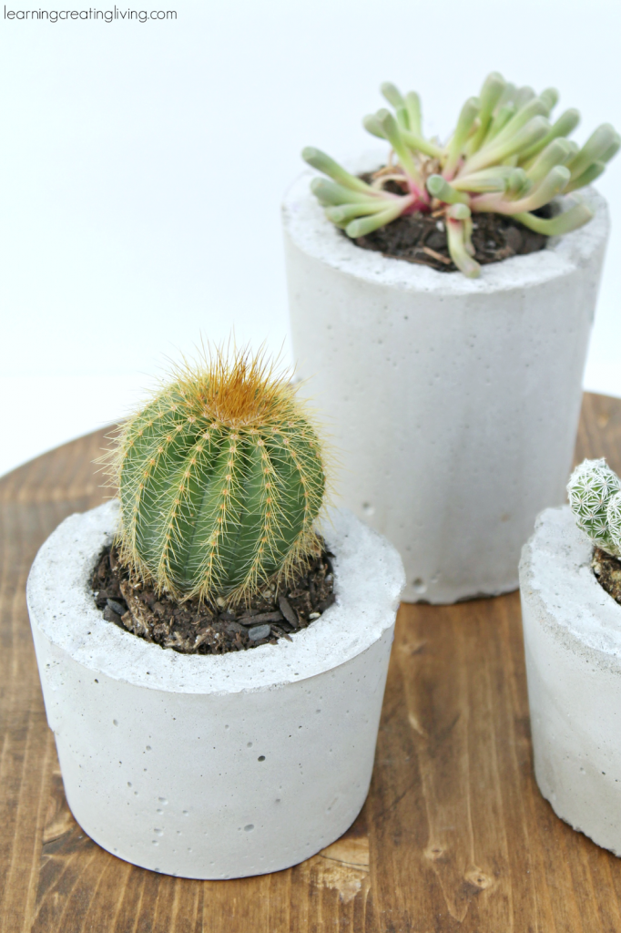 DIY-concrete-planters