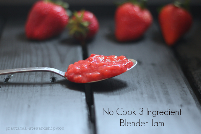 No-Cook-3-Ingredient-Blender-Jam