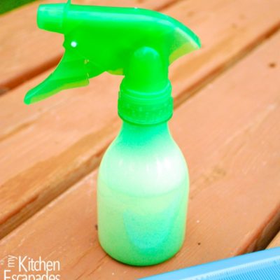 DIY Detangle Spray