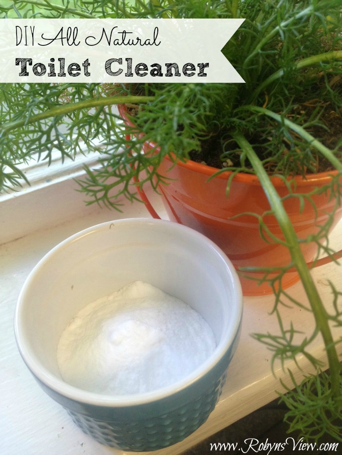 DIY-Toilet-Cleaner