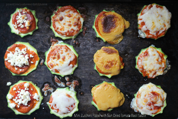 Mini-Zucchini-Pizzas-with-Sun-Dried-Tomato-Basil-Sauce