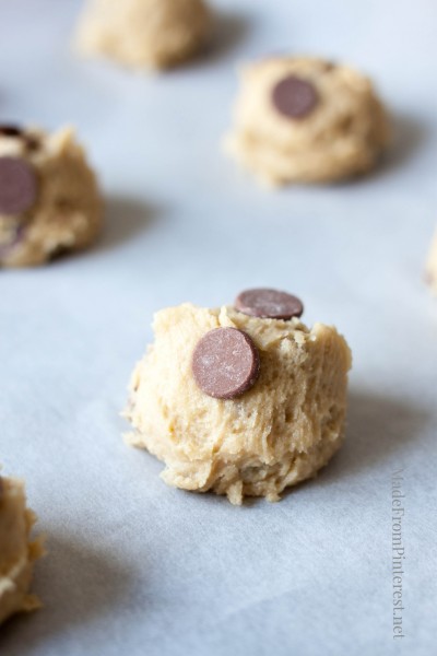 Chocolate Chip Spider Cookies - Transform you favorite recipe into a creepy, halloween treat!