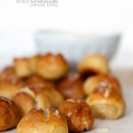 easy-homemade-pretzel-bites-mall-food-recipe-jalapeno-cheese-dip1