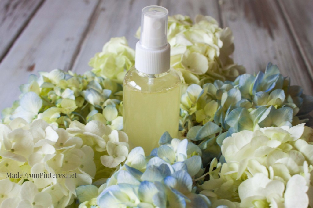 Stop the Stink Spray - This homemade spray is the perfect gag gift that really works!