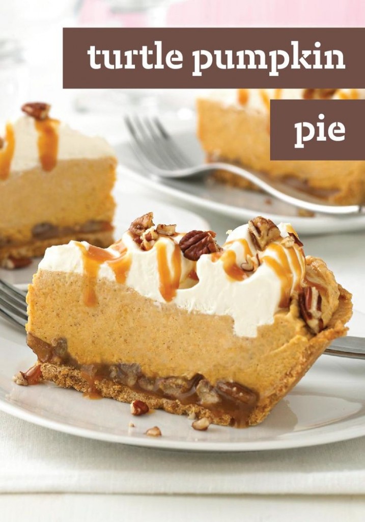 turtle-pumpkin-pie