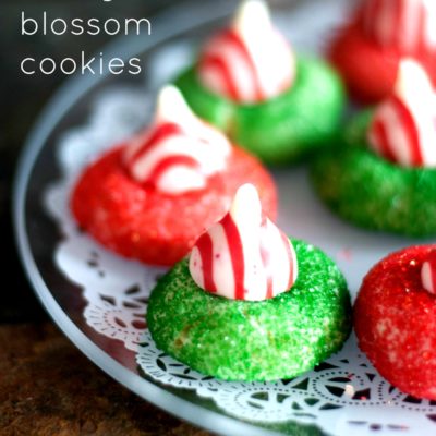 Candy Cane Cookies Recipe