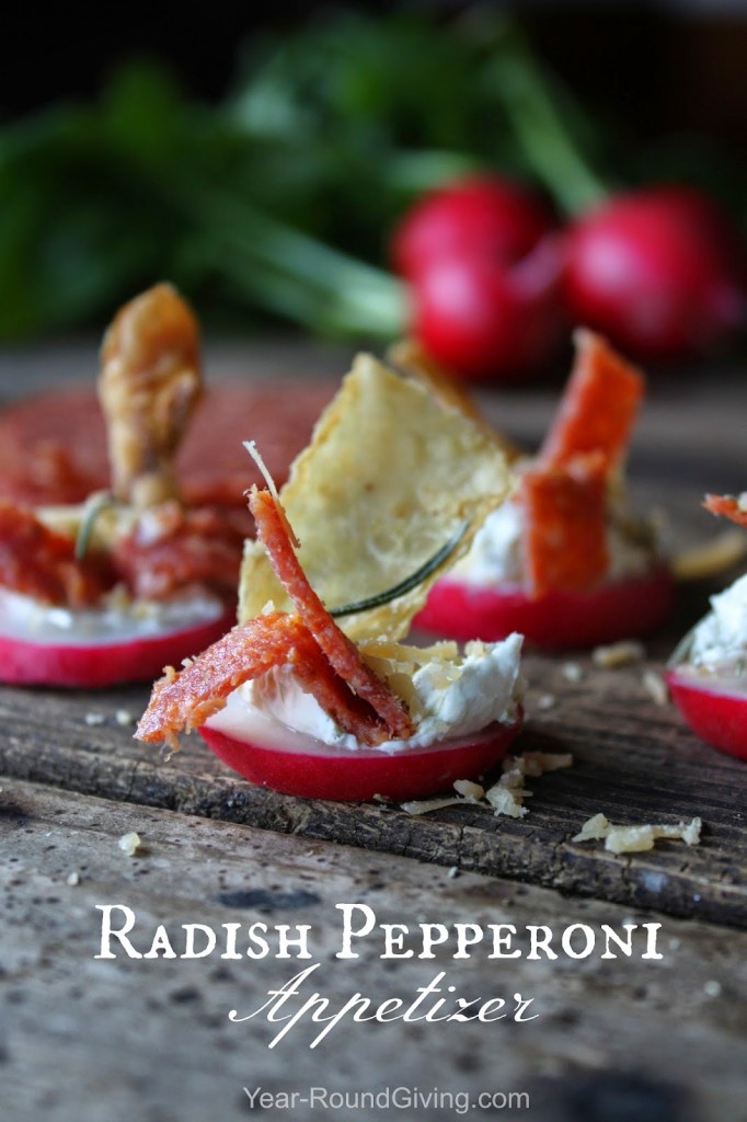 Radish Pepperoni Rustic Appetizer