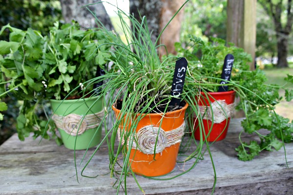 DIY-Herb-Pots-Using-Dollar-Store-Items