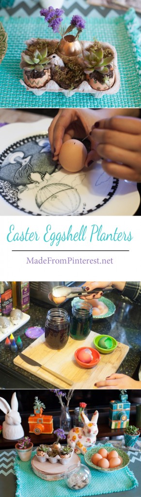 Easter Eggshell Planters. Made out of blown out eggshells, add some soil and a succulent for a darling Easter centerpiece!