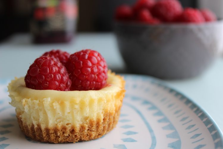 Cheesecake Bites Recipe - TGIF - This Grandma is Fun
