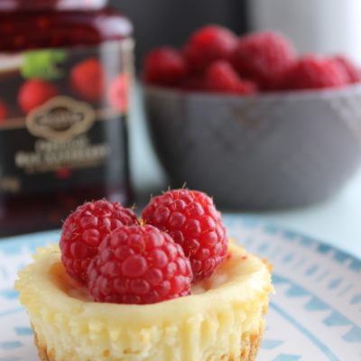 Cheesecake Bites Recipe