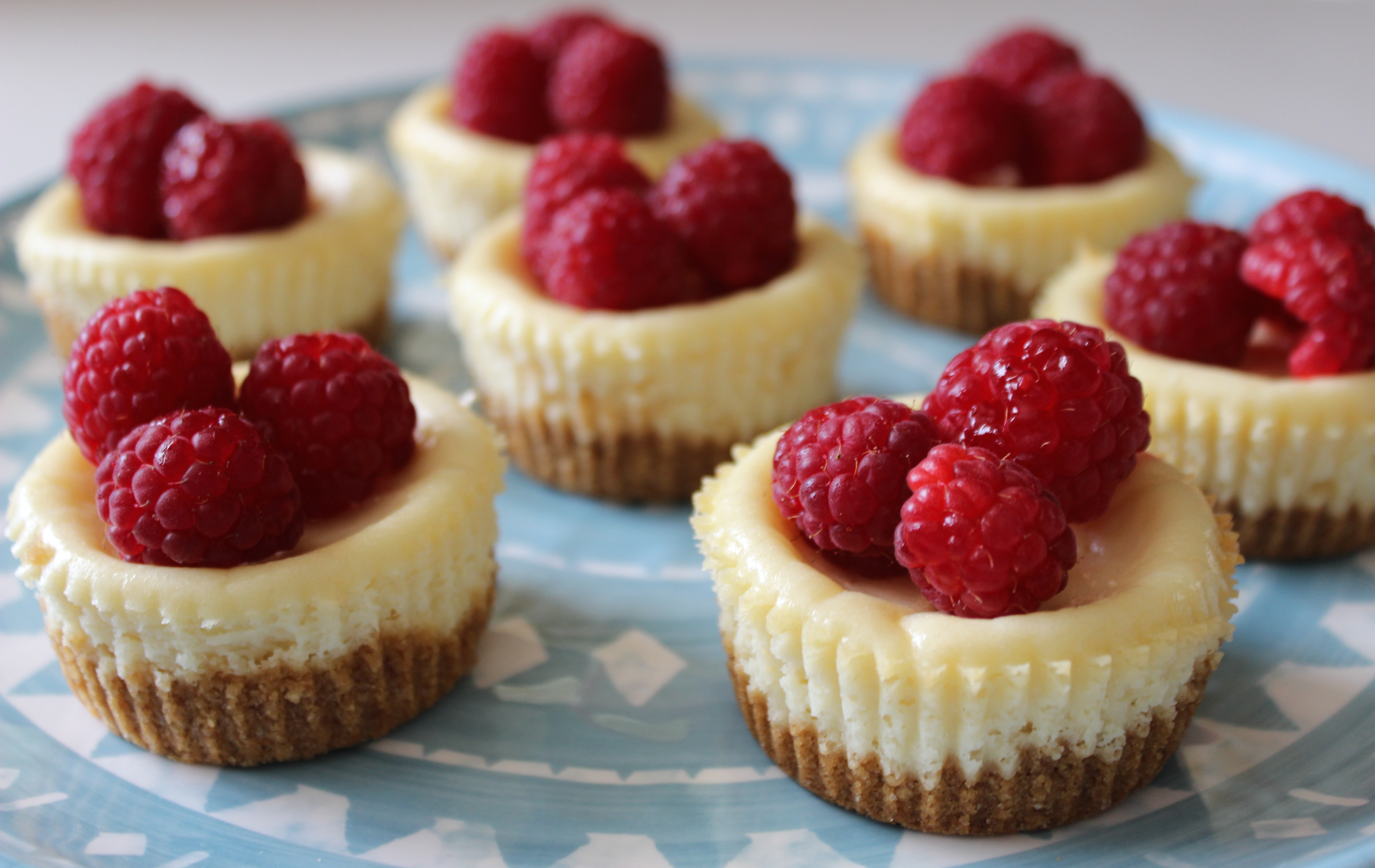 Cheesecake Bites Recipe - TGIF - This Grandma is Fun