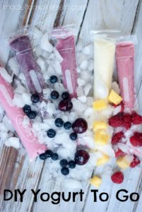 With only 3 ingredients, these are super easy to make but super healthy for your family! DIY Yogurt To Go. Throw them in a cooler and you have a great snack to keep your family cool!