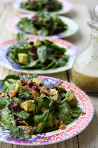 Fresh Cranberry Avocado Salad with Balsamic Vinaigrette! The perfect fancy summer salad!