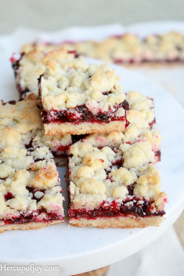 Fresh Black Currant Bars