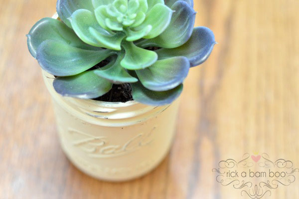 Chalk Painted Succulent Jar