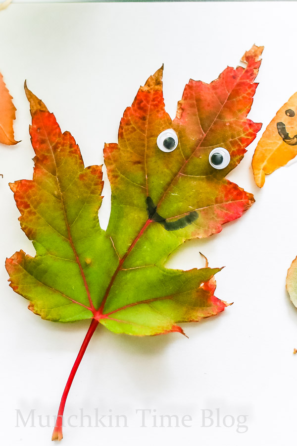 Super Cute Leaf Art for Kids