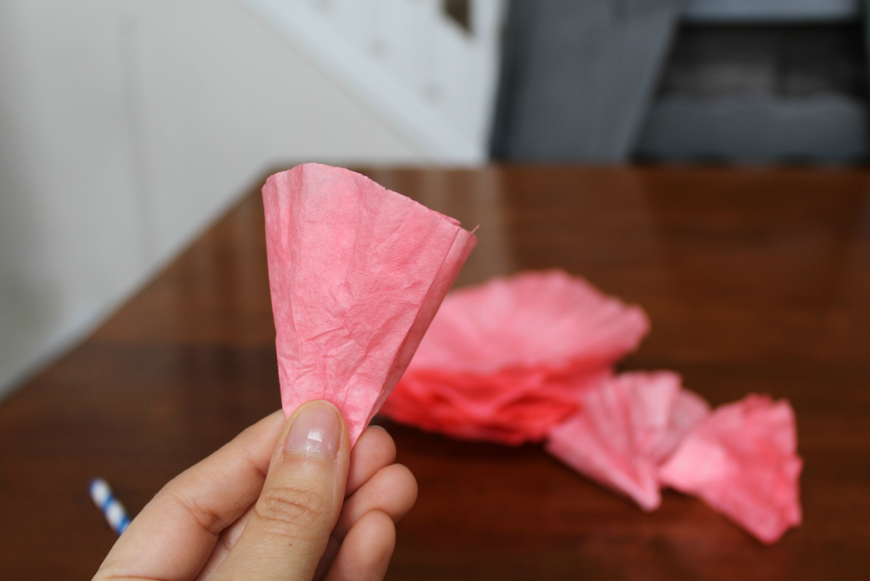 DIY Coffee Filter Carnations - TGIF - This Grandma is Fun