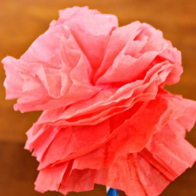 DIY Coffee Filter Carnations