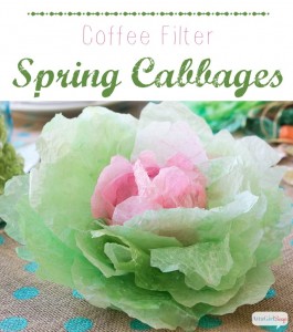 Coffee Filter Spring Cabbages