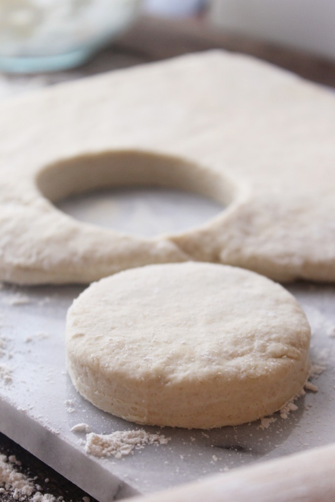 Learn how to make Sour Cream Biscuits from scratch with this simple step-by-step tutorial!