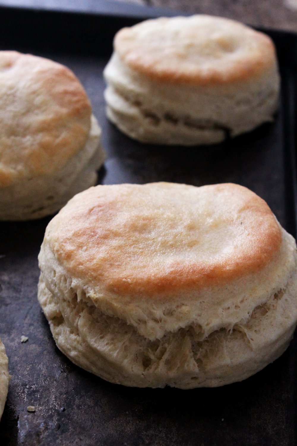 Sour Cream Biscuits Tutorial TGIF This Grandma is Fun