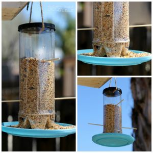 bird feeder FB collage