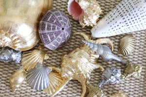 Gilded Seashells from AttaGirlSays.com