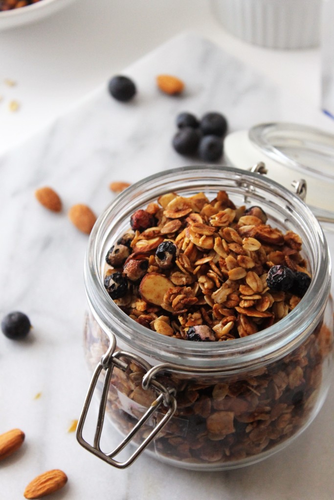 Cinnamon Blueberry Almond Granola Cereal | Made from Pinterest